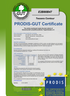 Tessera Contour - GUT Certificate