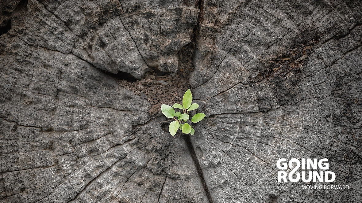 Sustainability report 2024 | Environmental goals | Forbo Flooring Systems Sustainability report 2024 | Environmental goals | Forbo Flooring Systems