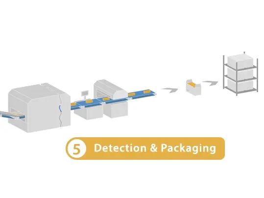 Detection and Packaging Processes