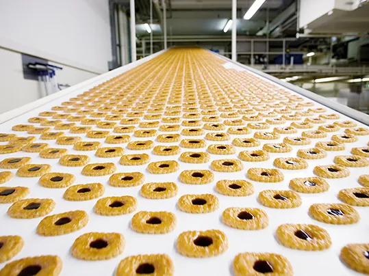 Conveying of Biscuits (Bahlsen)