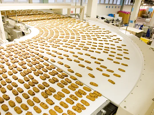 Curved Conveying of Biscuits (Bahlsen)