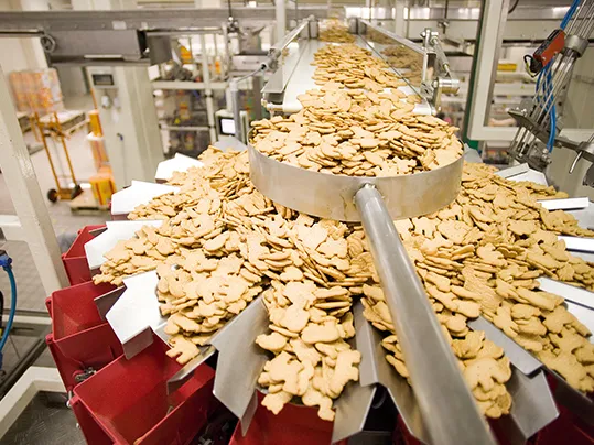 Packaging of Biscuits (Bahlsen)