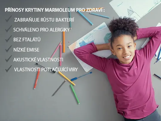 CZ checklist education