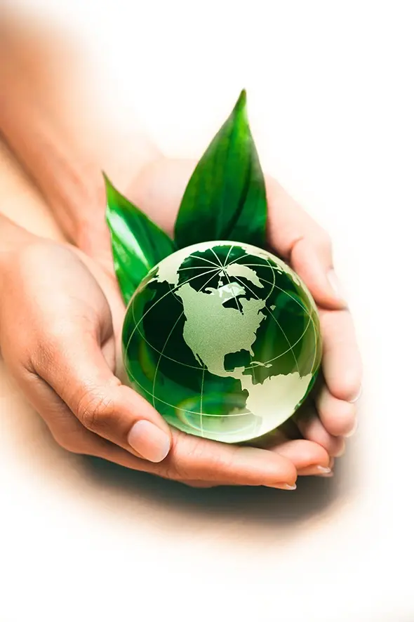 Nachhaltigkeit weltweit