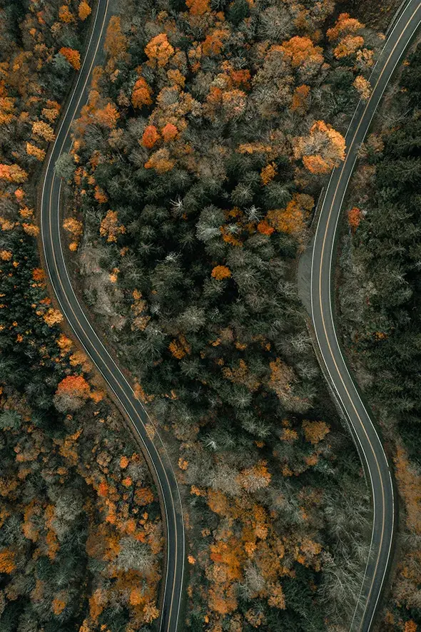 Winding roads through forest | 사진 제공: Clay Banks, Unsplash.com 제공