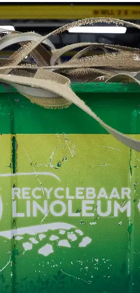 Linoleum bæredygtig 281x587