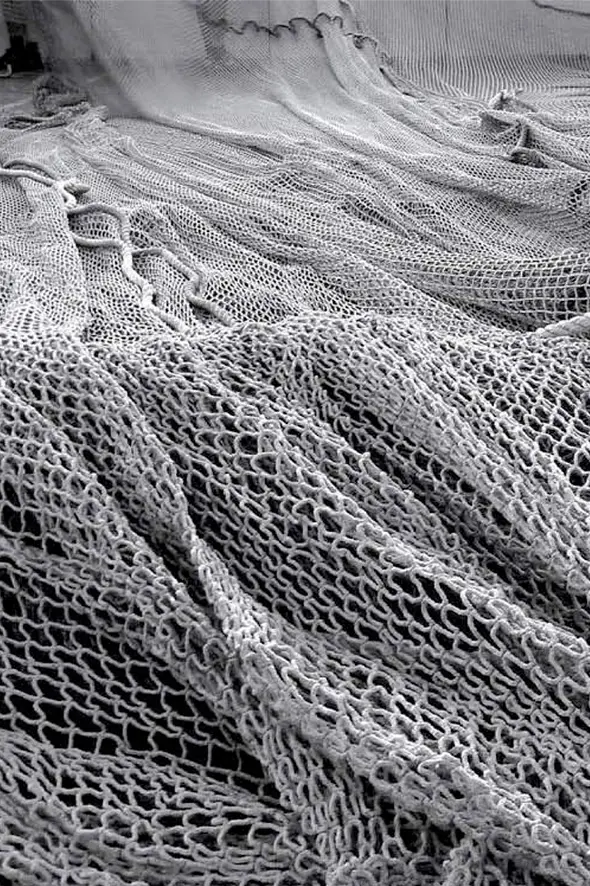 Fishnet coral sustainability 590x886