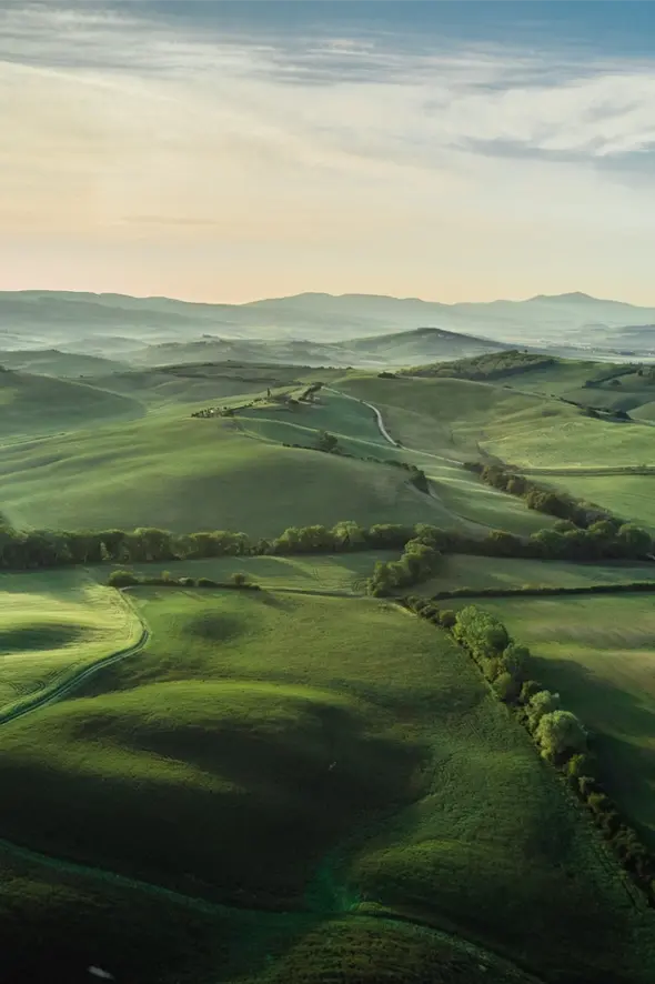 Green landscape