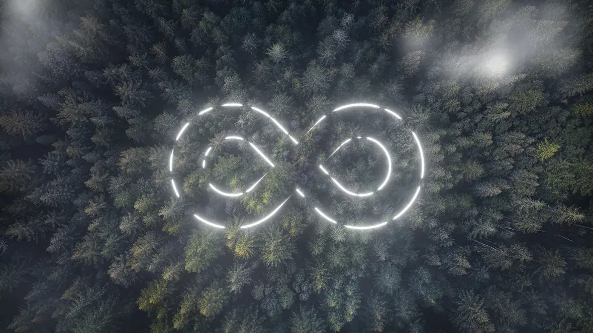 Infinity symbol in woods