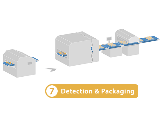 Detection and Packaging