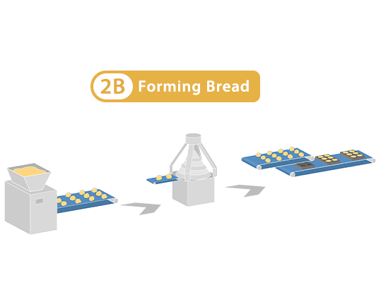 Forming Bread