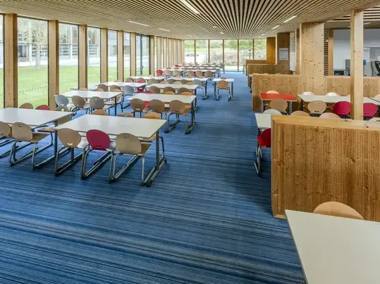 Revêtement de sol textile floqué Flotex | Forbo Flooring Systems