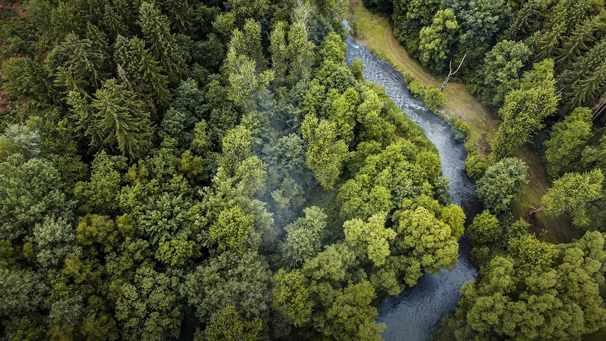 Sustainability at Forbo Movement Systems