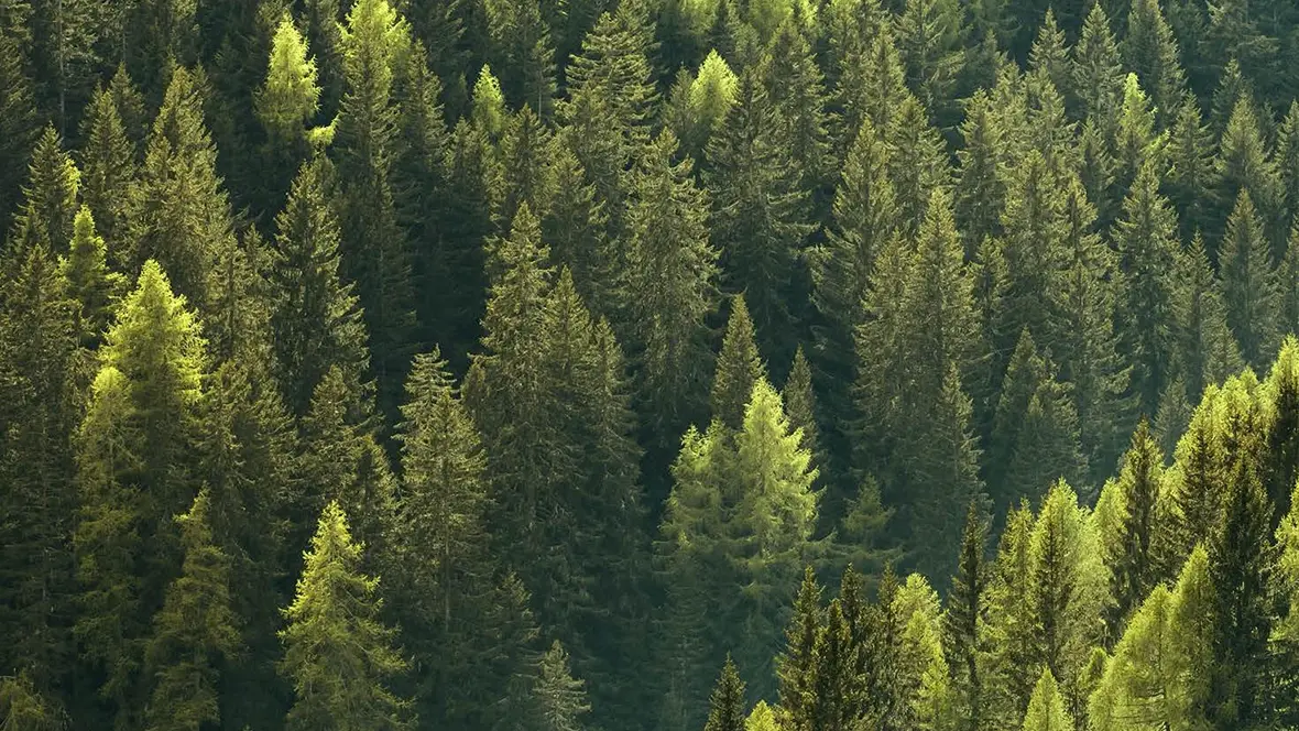 Sustainability Dimension Environmental Sustainability Dimension Environmental