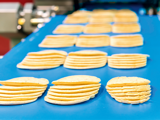 Homogenous belts in the production of cheese