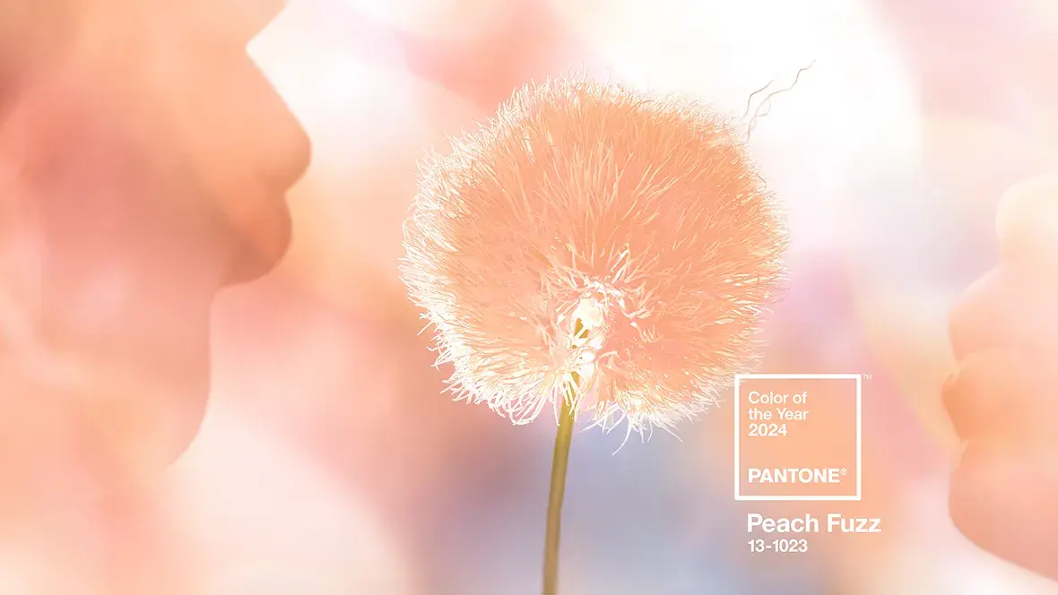 Pantone's kleur van het jaar 2024 : Peach Fuzz