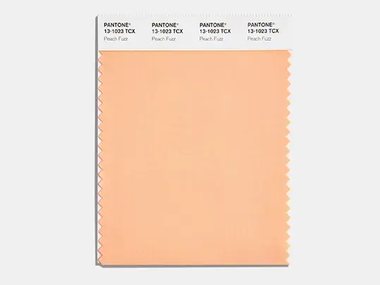 Pantone Color of the Year 2024