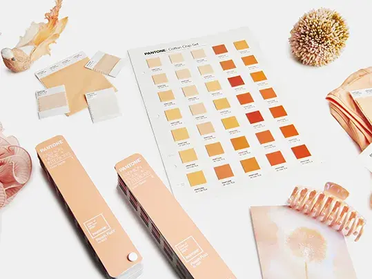Pantone Color of the Year 2024 Peach Fuzz |  Forbo Flooring Systems | photo by Pantone