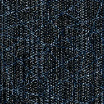 Coral Move Vision_88925FR_Plexus argon