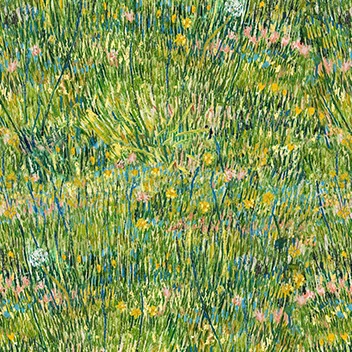 Flotex van Gogh patch of grass