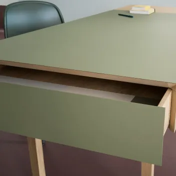 Furniture Linoleum 4184 surface finish for desks
