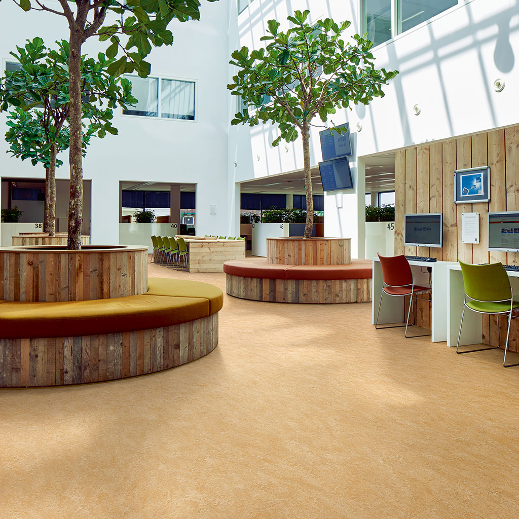 Marmoleum Real Forbo Flooring Systems