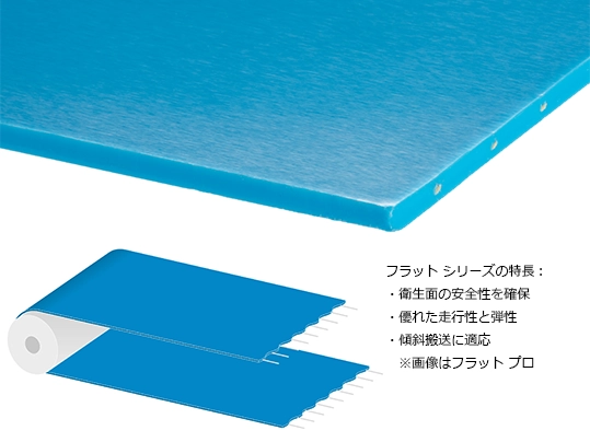 fullsan flat