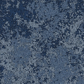 Coral Move Vision | Landscape