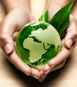 Corporate Social Responsibility