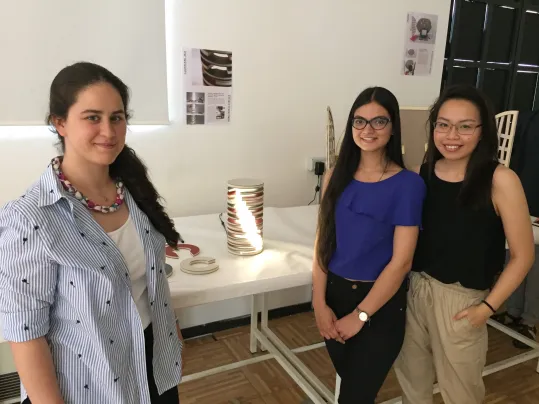 Claudia Renate Mantik, Medhavi Tyagi, Zeynep Gökcek NABA student challenge