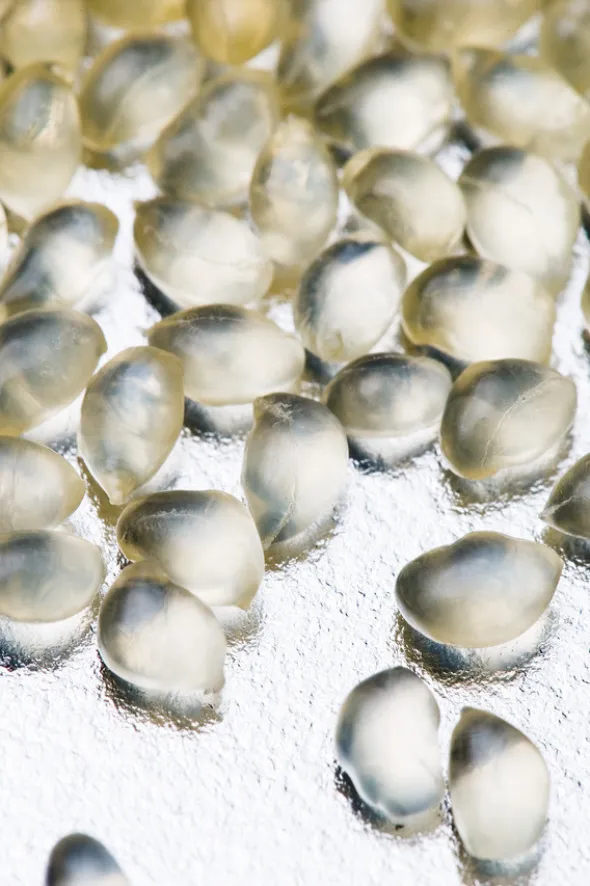 Pellets for belting products