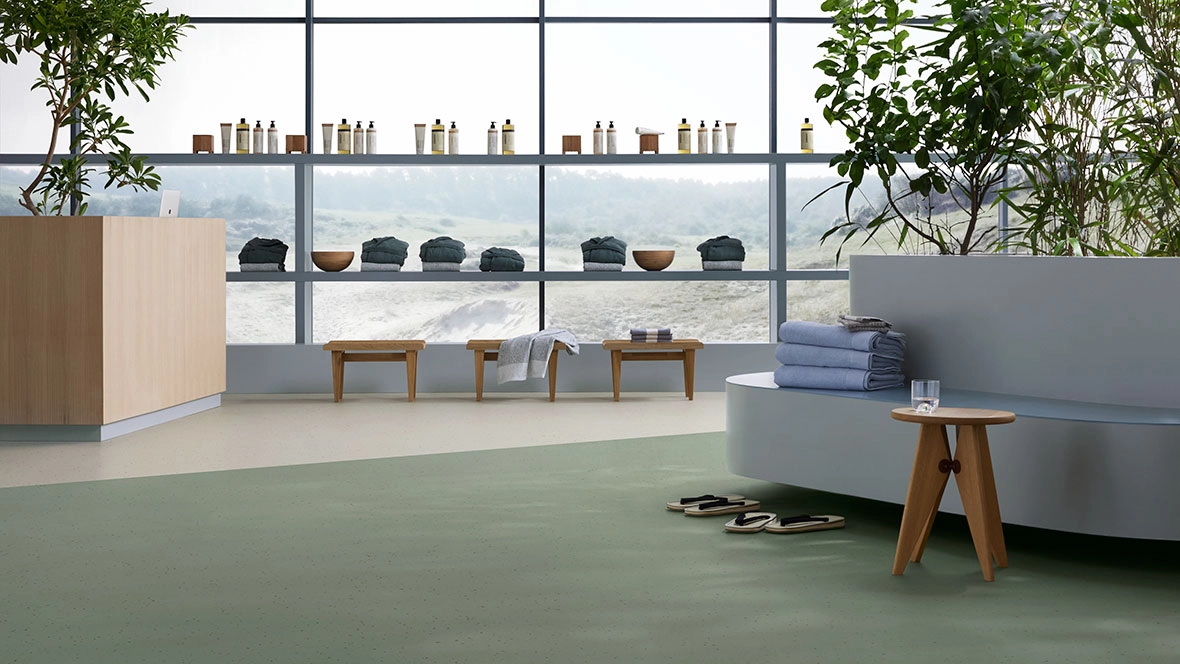 Sphera Elite b+ 2026