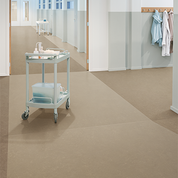 Marmoleum FR - 63708 fossil_63246 shrike