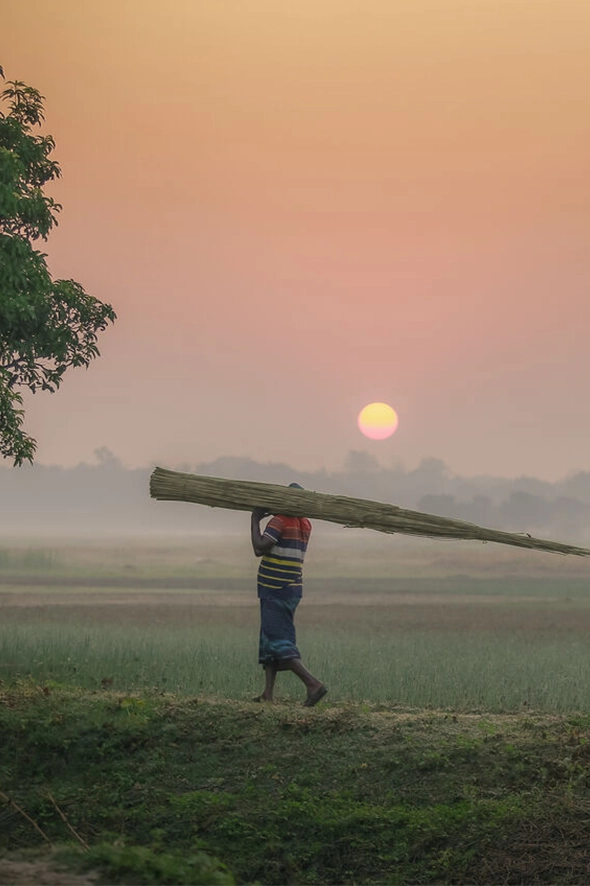 Sustainability | Forbo Flooring Systems