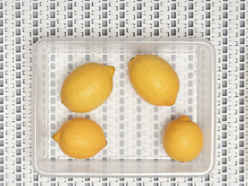 Zitronenverarbeitung auf Forbo Band