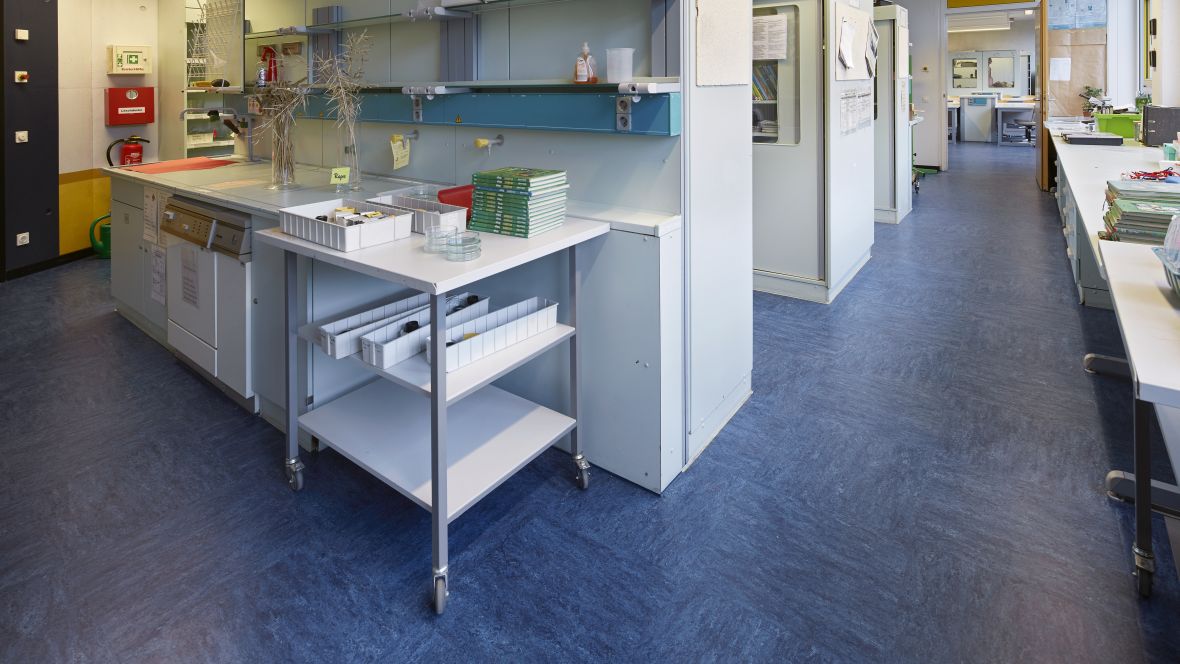 Gesamtschule Brühl - Europaschule Brühl Regale auf blau-gemusterten Boden – Forbo Linoleum Modular