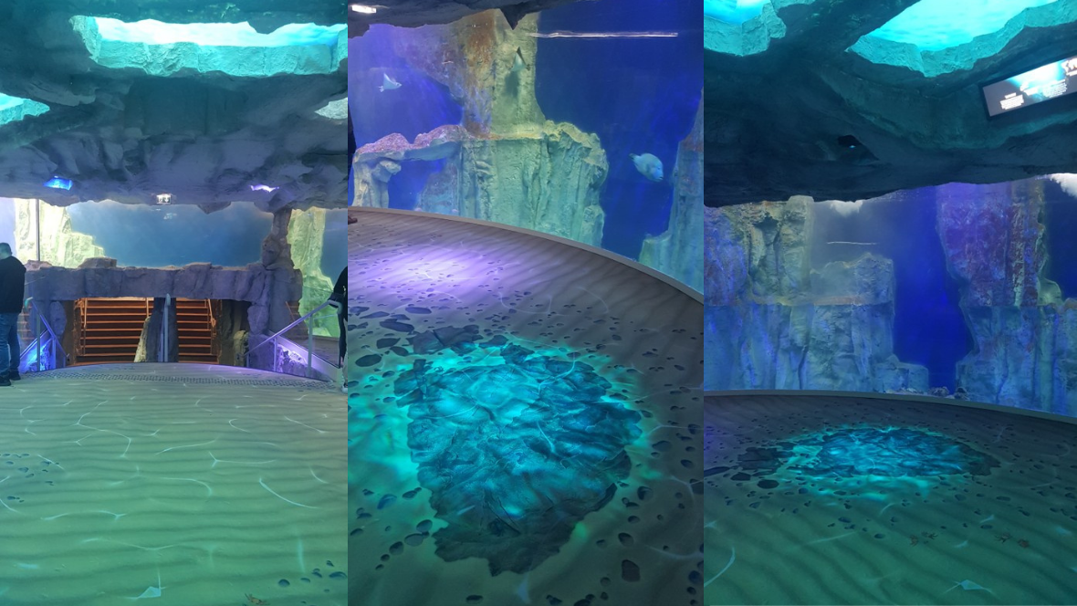 Revêtement de sol Flotex lab | Forbo Flooring Systems