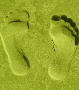 Footprint Web Icon