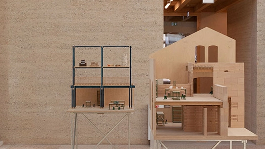 Archidea 71