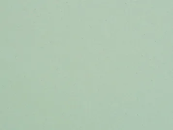 Mint 2