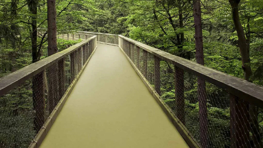 Marmoleum flooring: We take the Green road Marmoleum flooring: We take the Green road