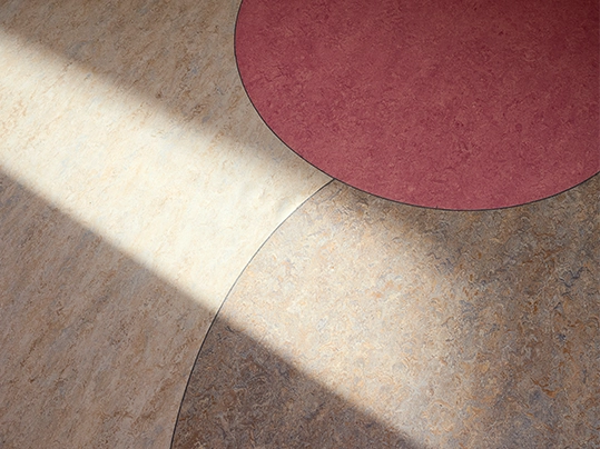 Struer Fri Fagskole Circles close up 3268<<-3263_3426