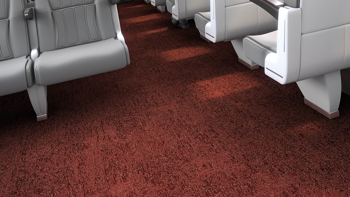 Coral Move Vision FR