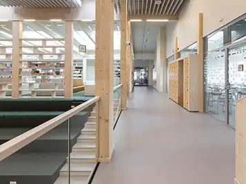 Rae State secondary school Estonia - Marmoleum Cocoa