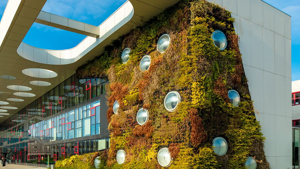 Stenden university Stenden university
