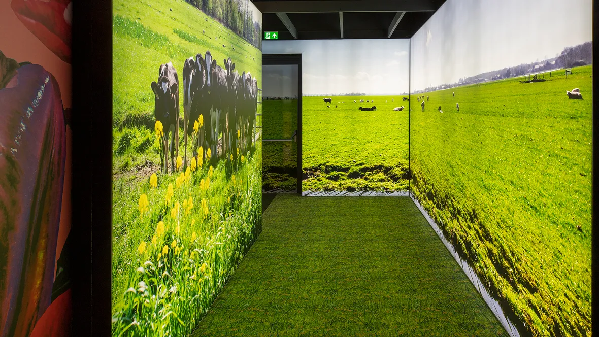 Flotex Van Gogh grasveld met koeien fotowand in FloriWorld