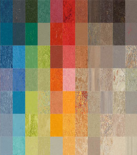 Linoleum - Colour Overview