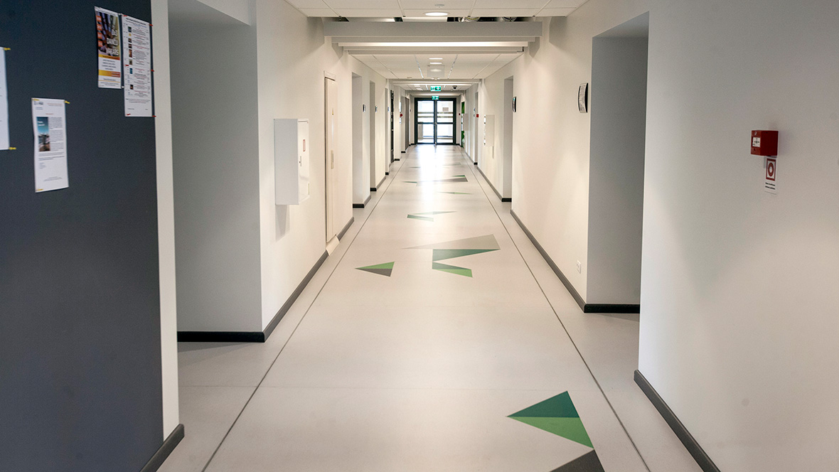 Riga Technical University Latvia - Marmoleum flooring