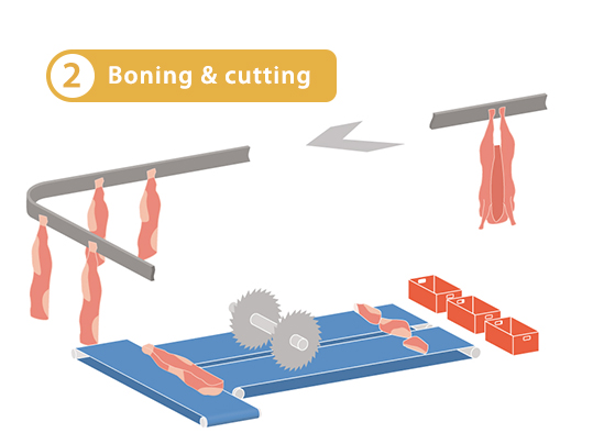 Process 2 Boning & cutting Meat
