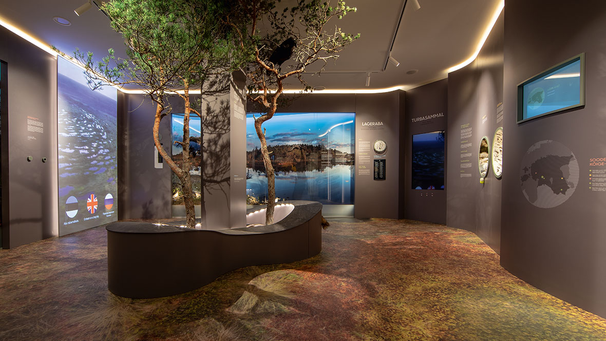 EstornianMuseumNaturalHistory_Biophilic Design